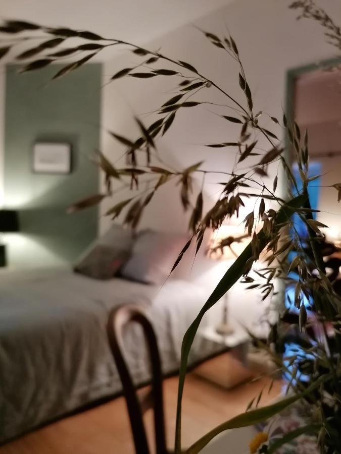 La Robiniere Maison D'Hotes 蒙特普利斯尚伯德 外观 照片